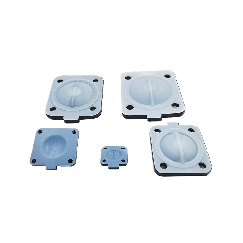 دیافراگم هادیافراگم دوبل EPDM + PTFE